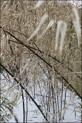 snow04P1050680