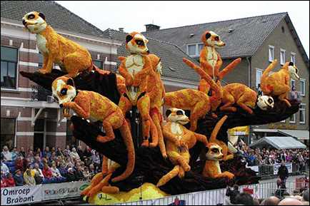 Bloemencorso-Zundert2